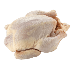 FOWL LIGHT