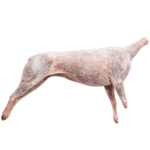 GOAT FROZEN REAL