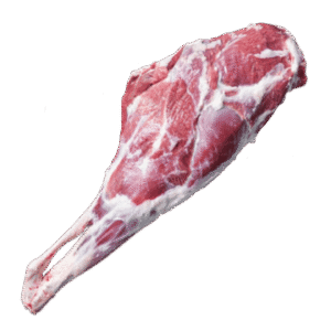 GOAT LEG