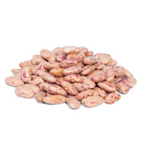 CRANBERRY (ROMAN) BEANS 50LB